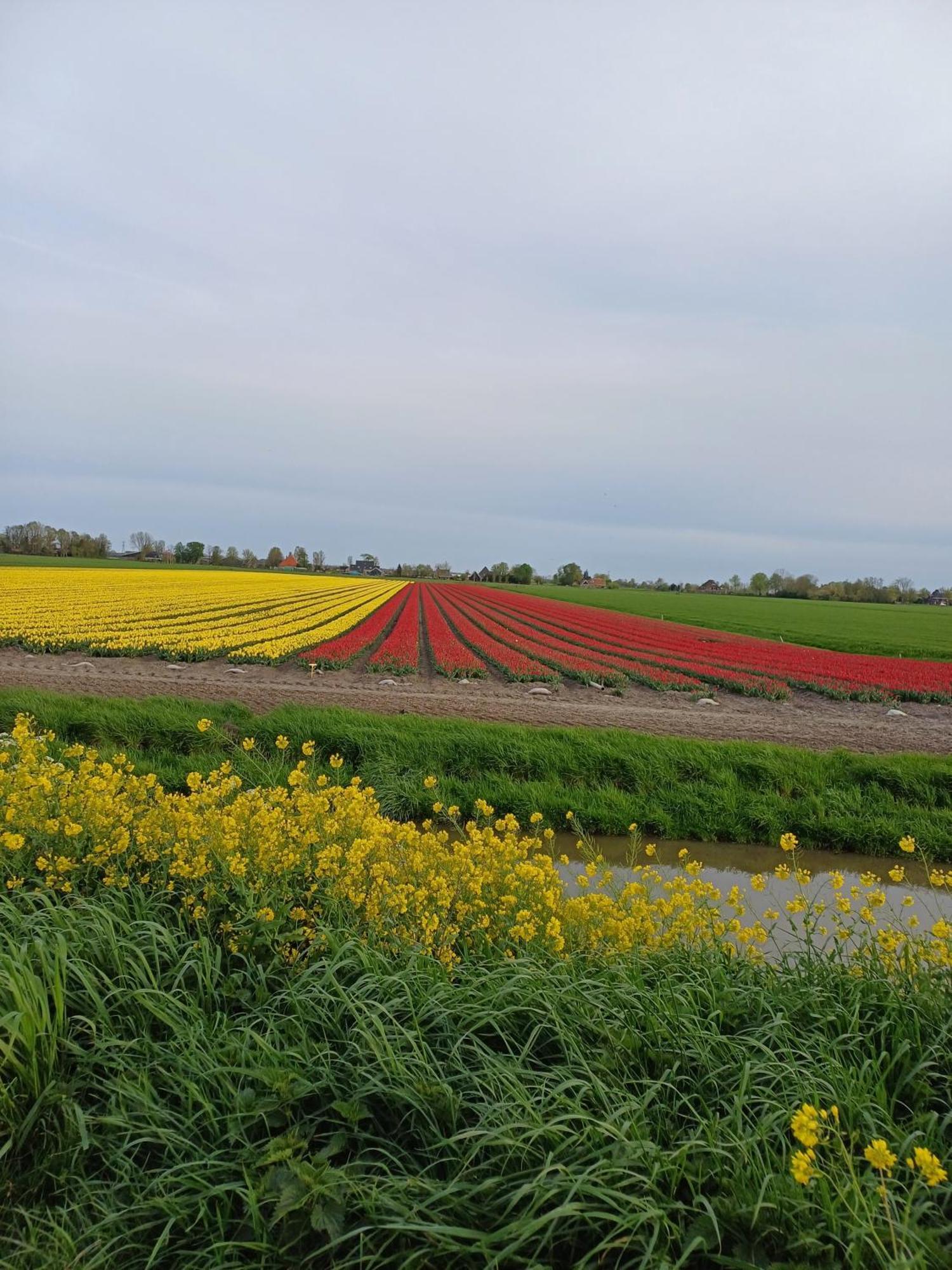Вилла Kota Wadway Spanbroek Экстерьер фото